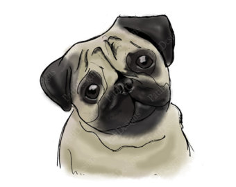 Pug Portrait Drawing   Iron On Tran Sfer Image Printable Graphics