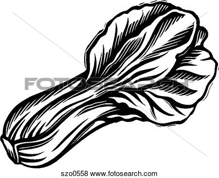 Stock Illustration Of An Illustration Of Bok Chouy In Black And White