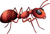 An Ant   Clipart Graphic