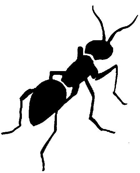 Ant Clipart Black And White   Clipart Panda   Free Clipart Images