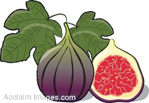 Clip Art Of Fresh Figs