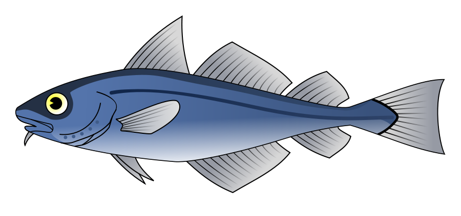 Cod Fish Clipart Vector Clip Art Online Royalty Free Design