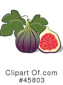 Fig Clipart Images   Pictures   Becuo