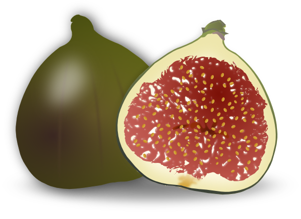 Fig Fruit Clip Art At Clker Com   Vector Clip Art Online Royalty Free    