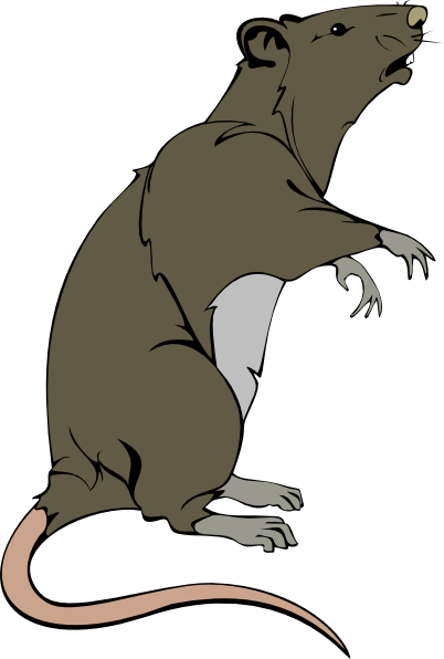 Grey Greedy Rat Clip Art At Clker Com   Vector Clip Art Online