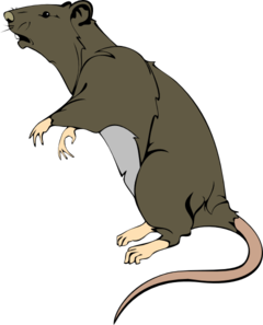 Grey Greedy Rat Clip Art At Clker Com   Vector Clip Art Online    