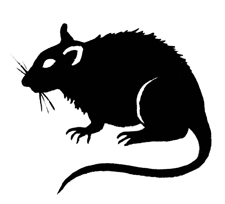 Rat Clip Art Black Rat
