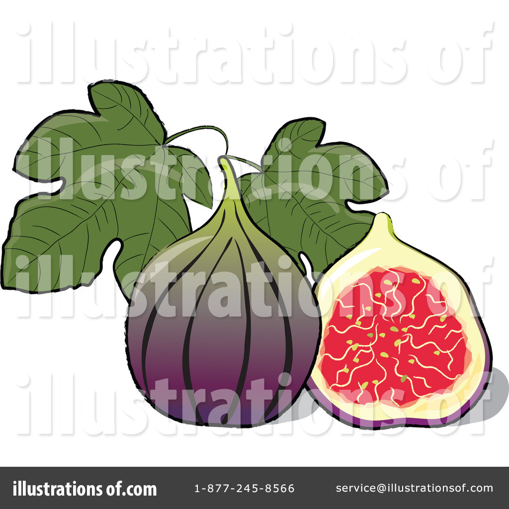 Royalty Free  Rf  Fig Clipart Illustration By Pams Clipart   Stock