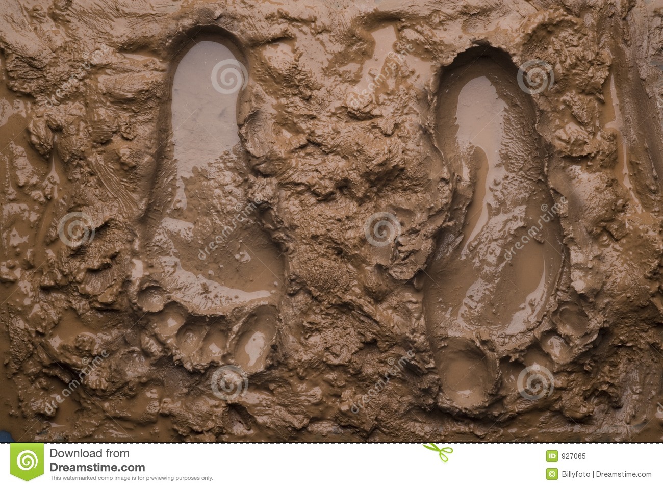 Two Footprints On Wet Mud Royalty Free Stock Photo   Image  927065