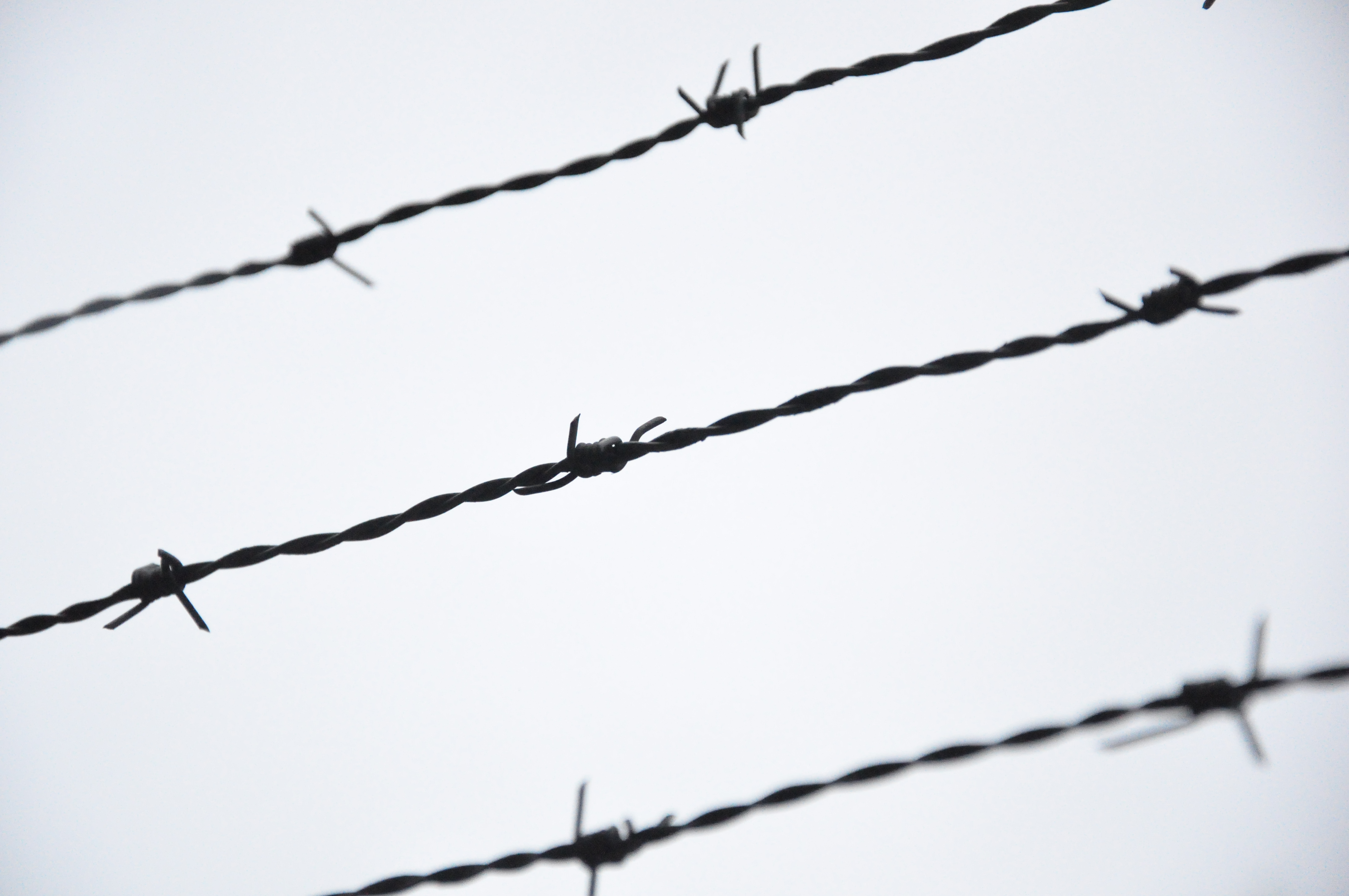 Barbed Wire Image   Clipart Best