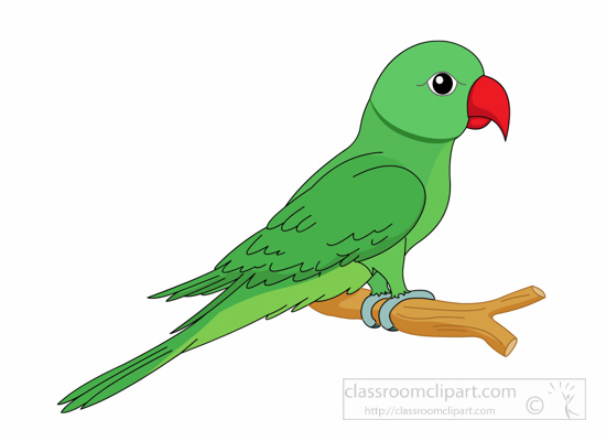 Clipart   Parrot Green With Red Beak Clipart 127   Classroom Clipart