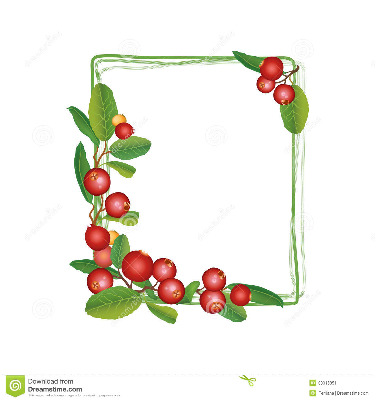 Cranberry Square Shaped Frame  Berry Garland  Ripe Red Cranberries