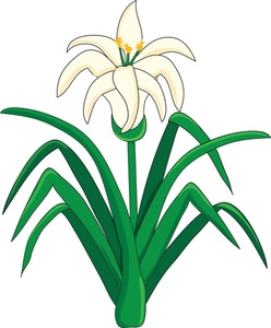 Easter Lily Clipart Image   Easter Lily