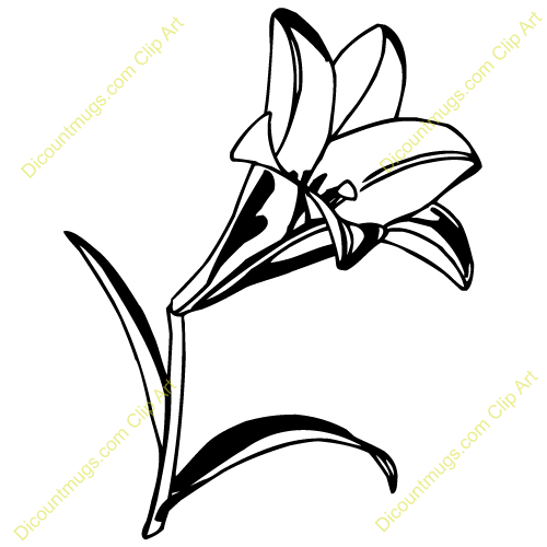 Easter Lily Clipart With This Lily Clip Art 