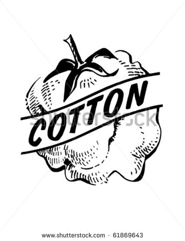 Raw Cotton Stock Photos Illustrations And Vector Art