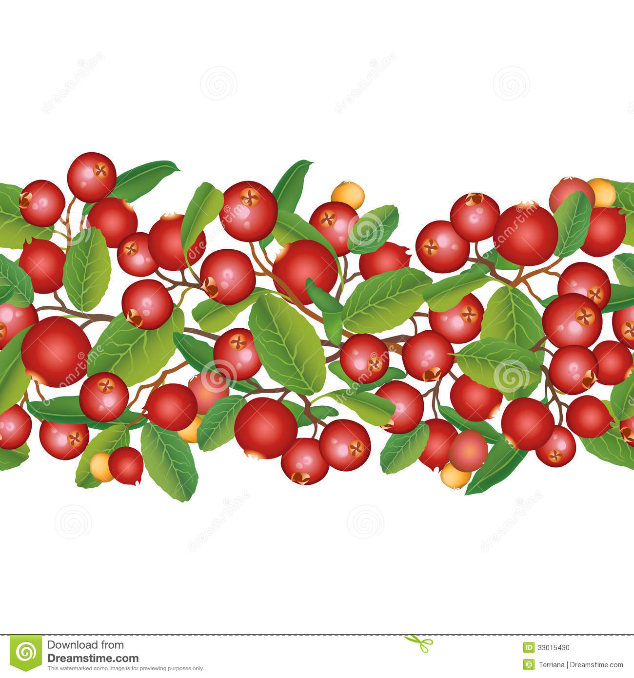 Stock Photo  Cranberry Seamless Background  Ripe Red Cranberries With    