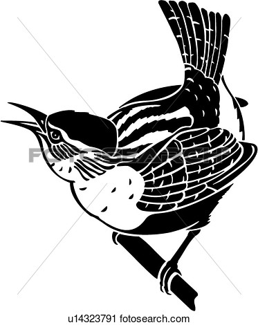 Clipart Of  Animal Bird Species Wren U14323791   Search Clip Art