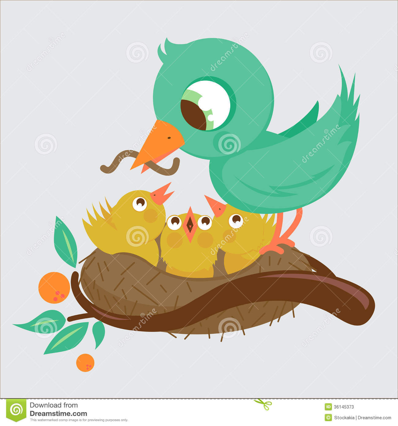 Cute Birds Feeding In The Nest Stock Photos   Image  36145373