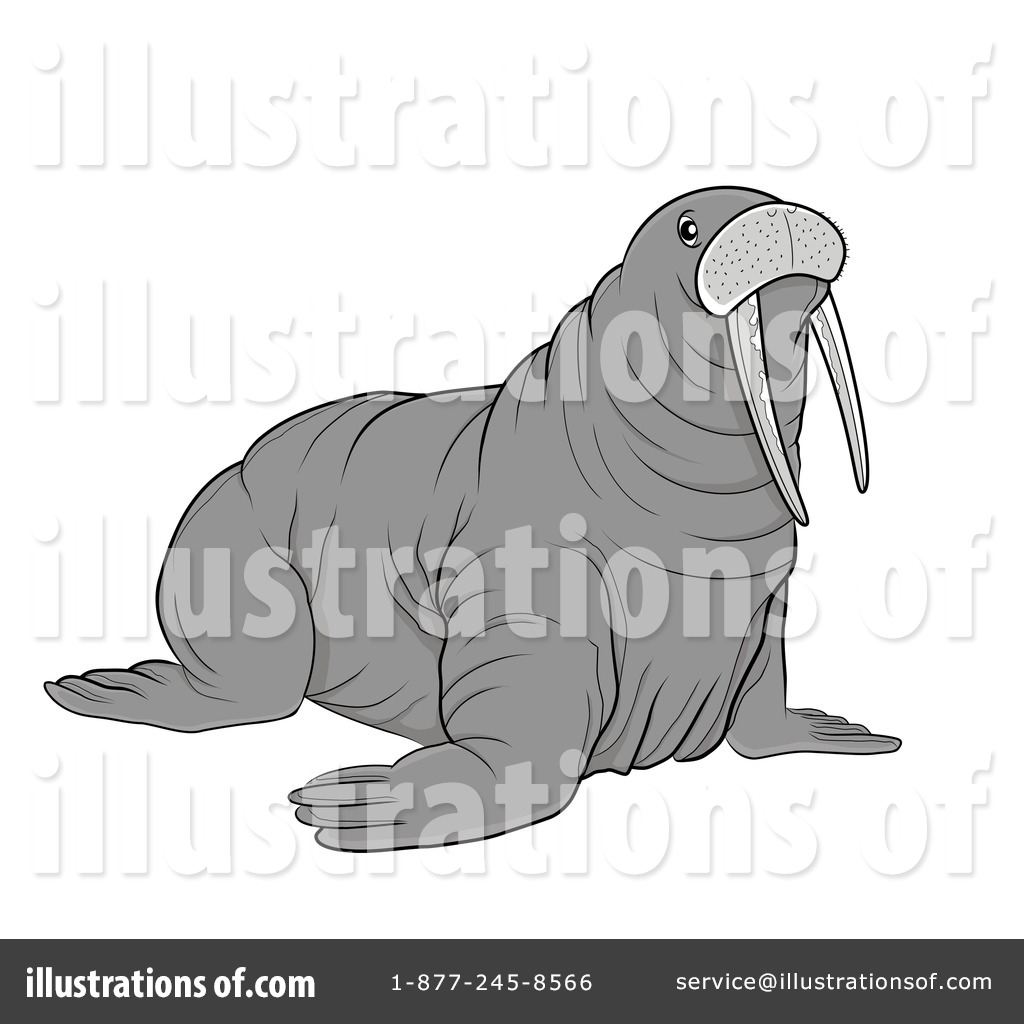 Free Cartoon Walrus Clip Art Pictures