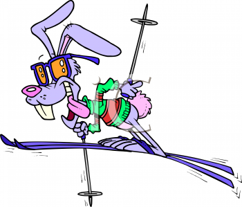     Images Animal Clipart Net Cartoon Clipart Picture Of A Rabbit Skiing