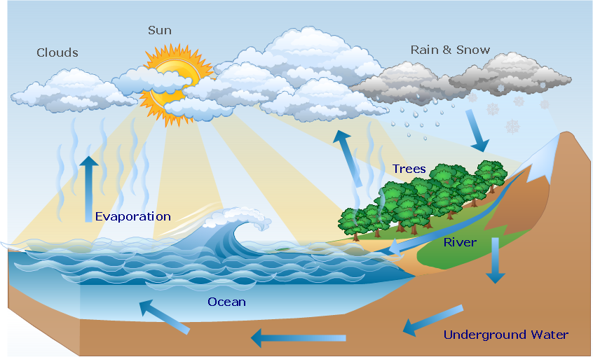 Program To Make Flow Chart   Drawing Illustration    Water Cycle