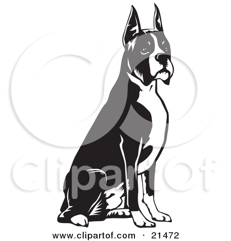 Royalty Free  Rf  Boxer Dog Clipart   Illustrations  1