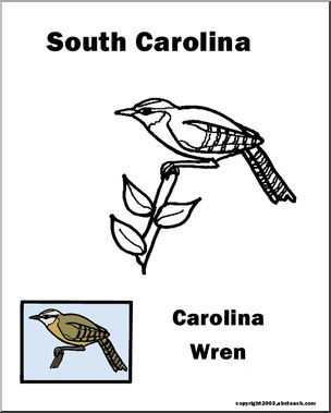 South Carolina State Bird Great Carolina Wren Preview 1