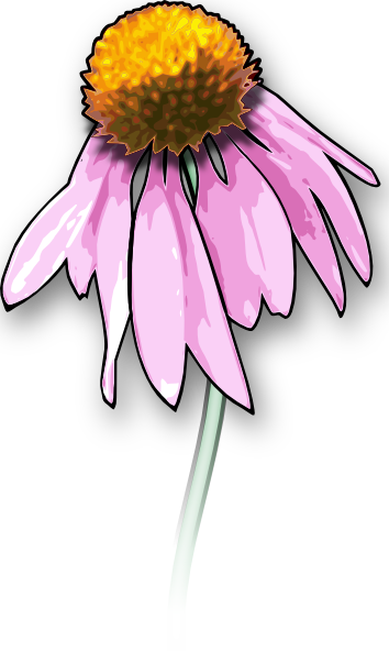 Dead Flower Clip Art At Clker Com   Vector Clip Art Online Royalty