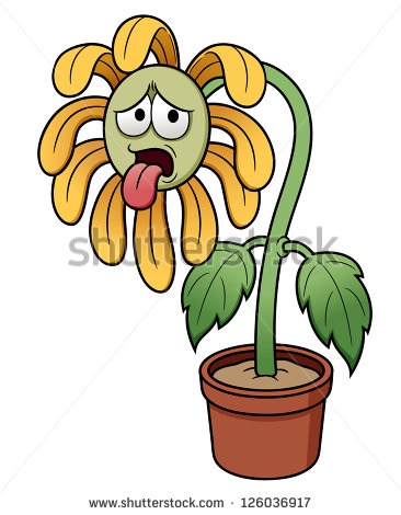 Dying Plant Clipart Illustration Of Cartoon