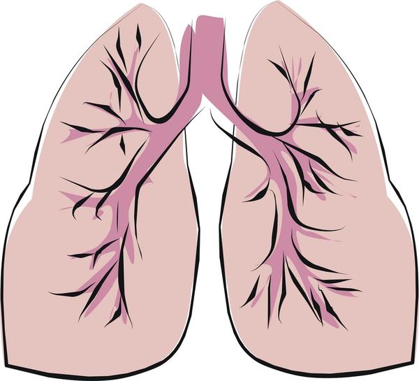 By Pathogenic Organisms Copd Or Chronic Obstructive Pulmonary Disease