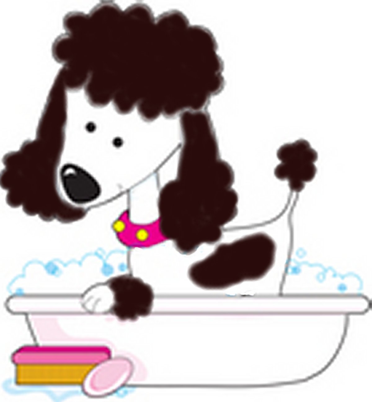 Clipart Dog Shampoo Clipart Pet Shop Clipart Cat Grooming Clipart Dog    