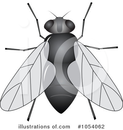 Flies Clipart  1054062 By Vectorace   Royalty Free  Rf  Stock