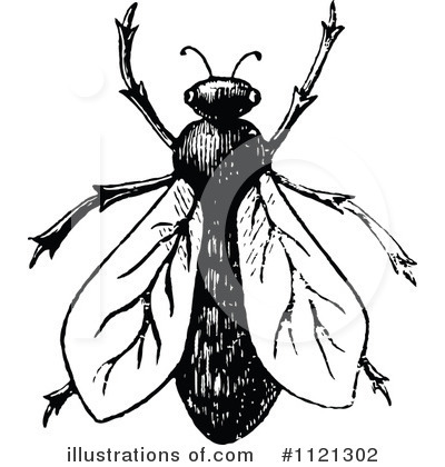Flies Clipart  1121302   Illustration By Prawny Vintage