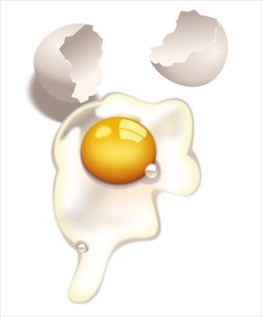 Free Egg Uncooked Clipart   Free Clipart Graphics Images And Photos    