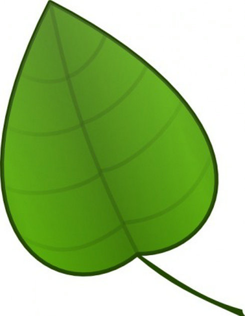 Glare Clipart Leaf Clip Art 3 Jpg