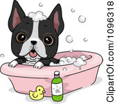 Royalty Free  Rf  Dog Shampoo Clipart Illustrations Vector Graphics