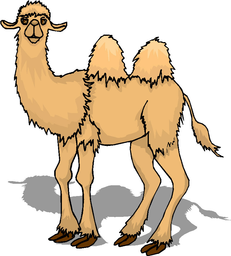 Animal Graphics   Camel Animal Graphics