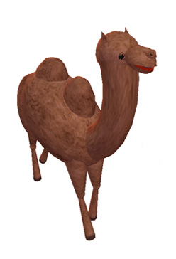 Camel Walking Animation