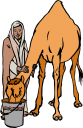 Find Clipart Camel Clipart 161 Images Page 3 Of 6