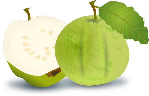 Guava Clip Art At Clker Com   Vector Clip Art Online Royalty Free