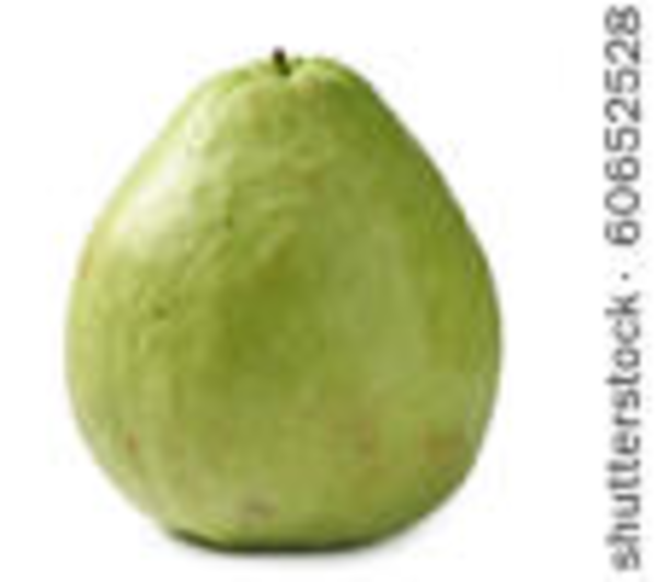 Guava   Free Images At Clker Com   Vector Clip Art Online Royalty