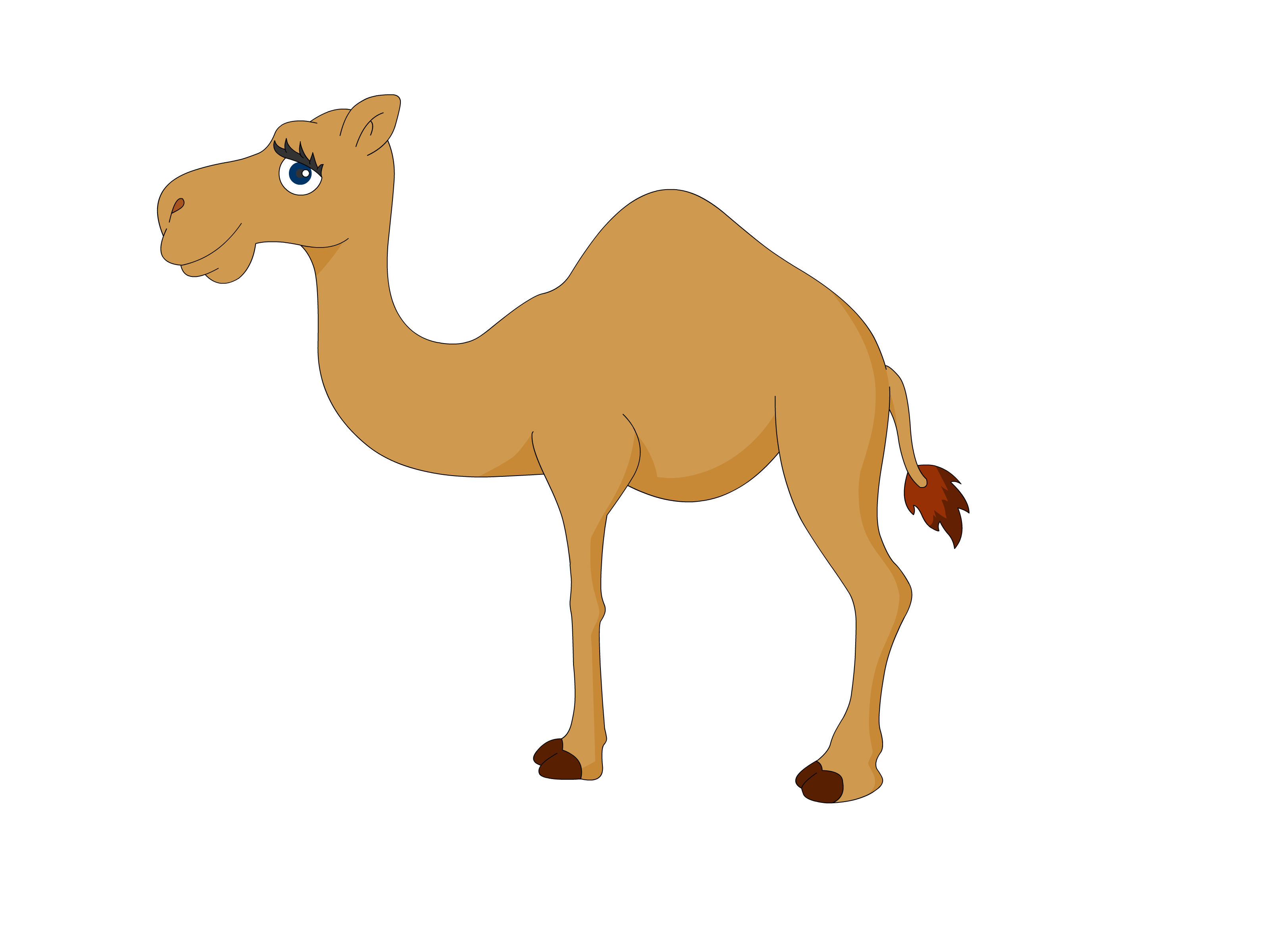 How To Draw A Camel  10 Steps  With Pictures    Wikihow