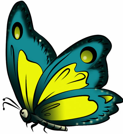 News Butterfly  Butterfly Cartoon Clipart