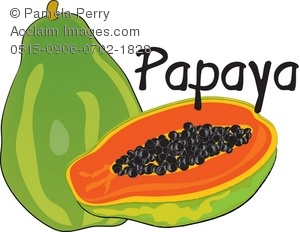 Papaya Photos Stock Photos Images Pictures Papaya Clipart   Papaya