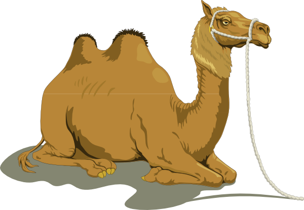 Resting Camel With Two Humps Clip Art At Clker Com   Vector Clip Art
