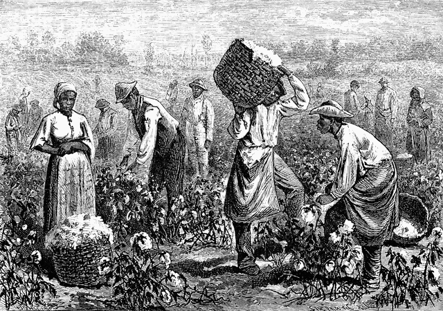 Slaves Working On Plantations Clipart Of African American Slaves