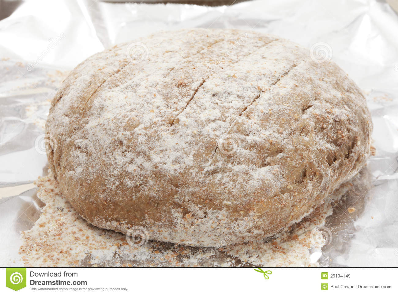 Ball Of Polish Rye Bread Dough Rising On A Sheet Of Tinfoil On A