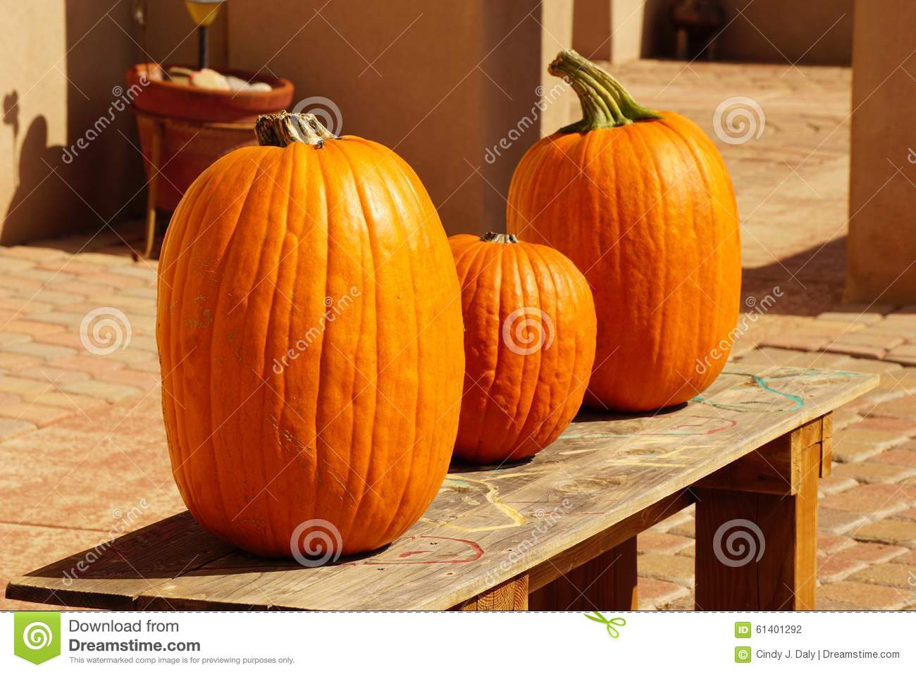 Picture Of Pumpkins Sitting On A Bench