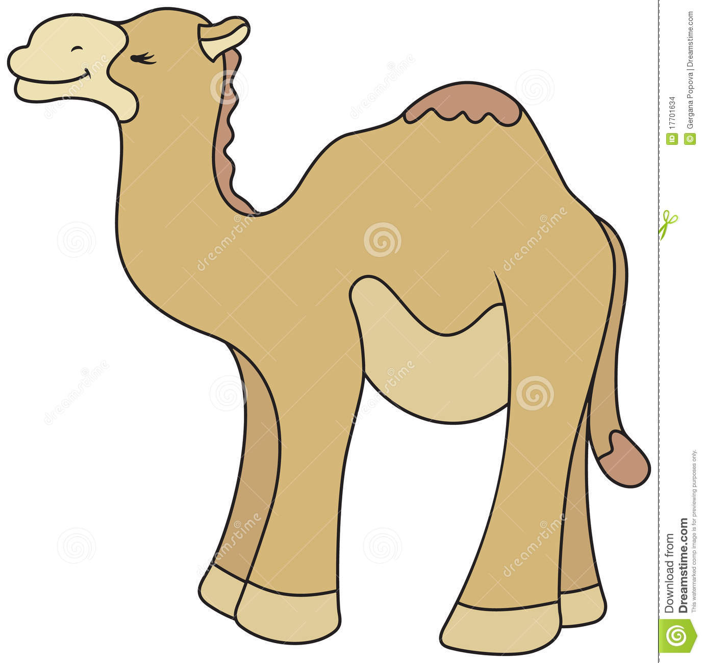 Cartoon Style Camel Illustration Stock Images   Image  17701634