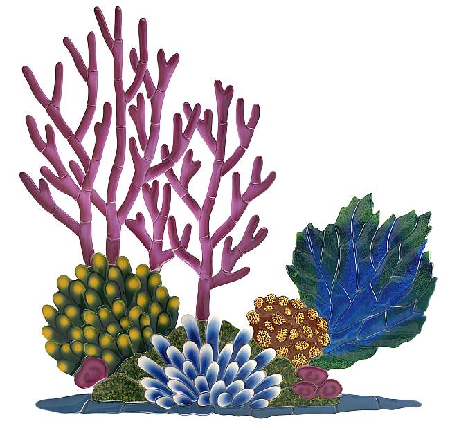 Coral Reef Art Activities Lesson Plans Reviewed By Teachers